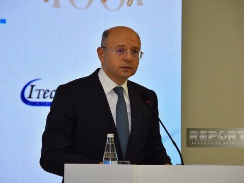 “Naxçıvan “yaşıl enerji”nin həm mənbəyi, həm də marşrutu olacaq”