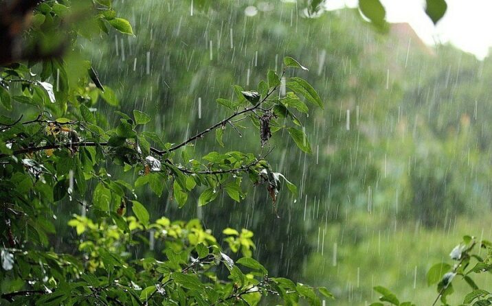Rayonlarda şimşək çaxıb, yağış yağıb Rayonlarda şimşək çaxıb, yağış yağıb
