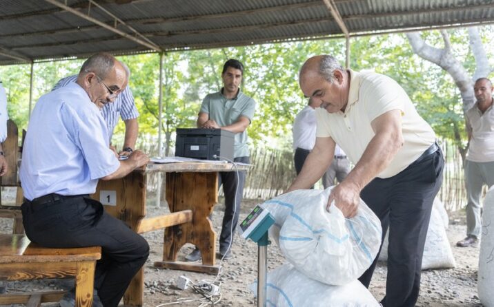 Azərbaycanda tədarük məntəqələrinə 290 ton yaş barama təhvil verilib Azərbaycanda tədarük məntəqələrinə 290 ton yaş barama təhvil verilib