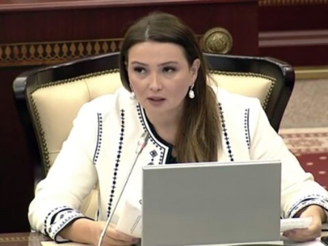 Qənirə Paşayeva Milli Məclisin iclasında vacib məsələlərə toxundu