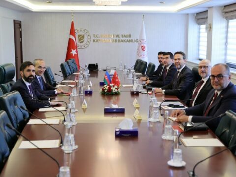 Azərbaycan və Türkiyə arasında iqtisadiyyat və enerji sahələrində gələcək əməkdaşlıq müzakirə olunub