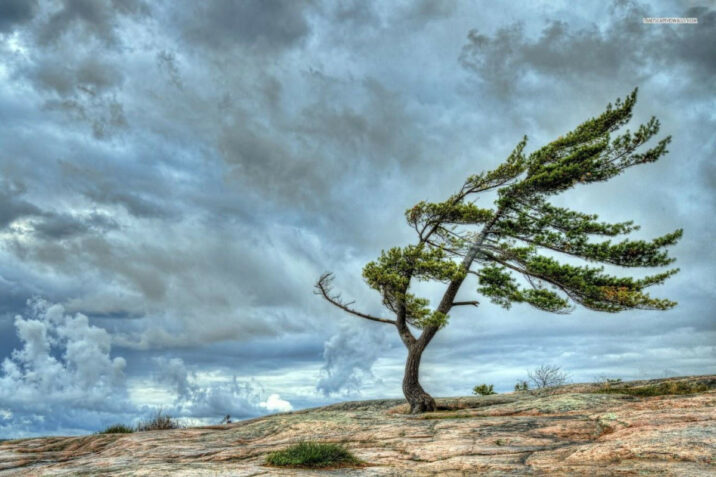 Leysan, külək və sel – Faktiki hava açıqlandı