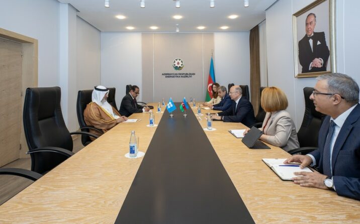 “Karbon emissiyalarının azaldılması dayanıqlı enerji təhlükəsizliyi üçün vacibdir”