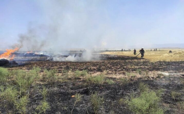 Naxçıvanda taxıl zəmisi yanıb