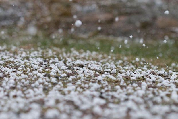 Dolunun yaratdığı fəsadlar: Taxılın qiyməti artacaq?