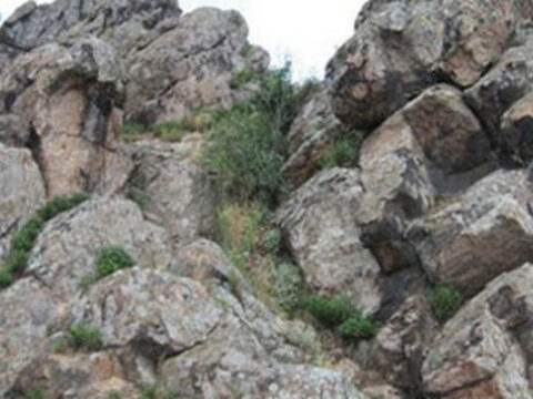 Qayalıq ərazidən meyit tapıldı 