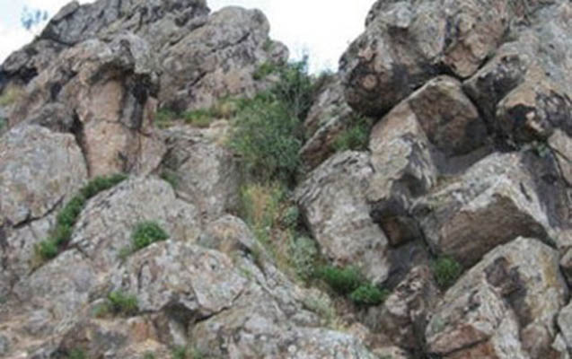 Qayalıq ərazidən meyit tapıldı 