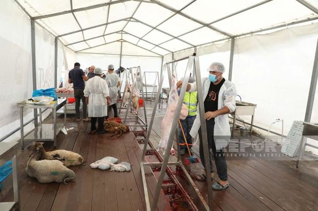 AQTA rəsmisi: “Respublika üzrə səyyar kəsim çadırları formalaşdırılıb”