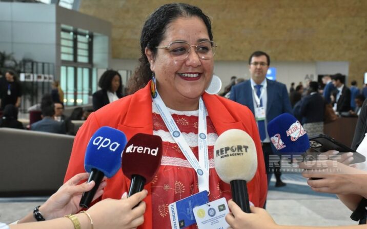 “Prezident İlham Əliyevin Fransanın müstəmləkəçilik siyasəti ilə bağlı dedikləri həqiqətdir”