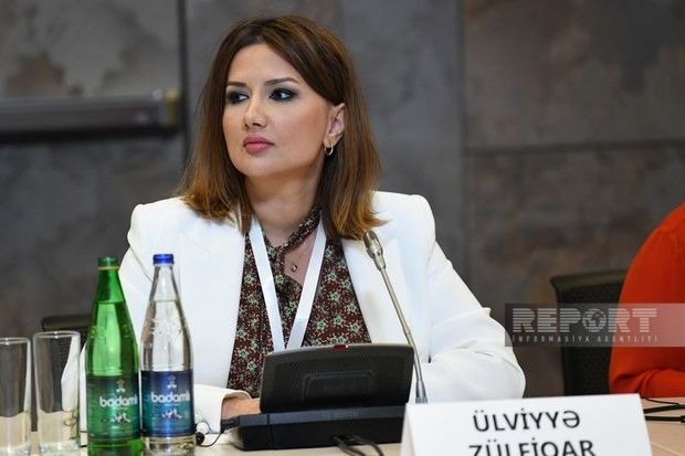 “Qərbi azərbaycanlılar da kolonializmdən əziyyət çəkiblər”