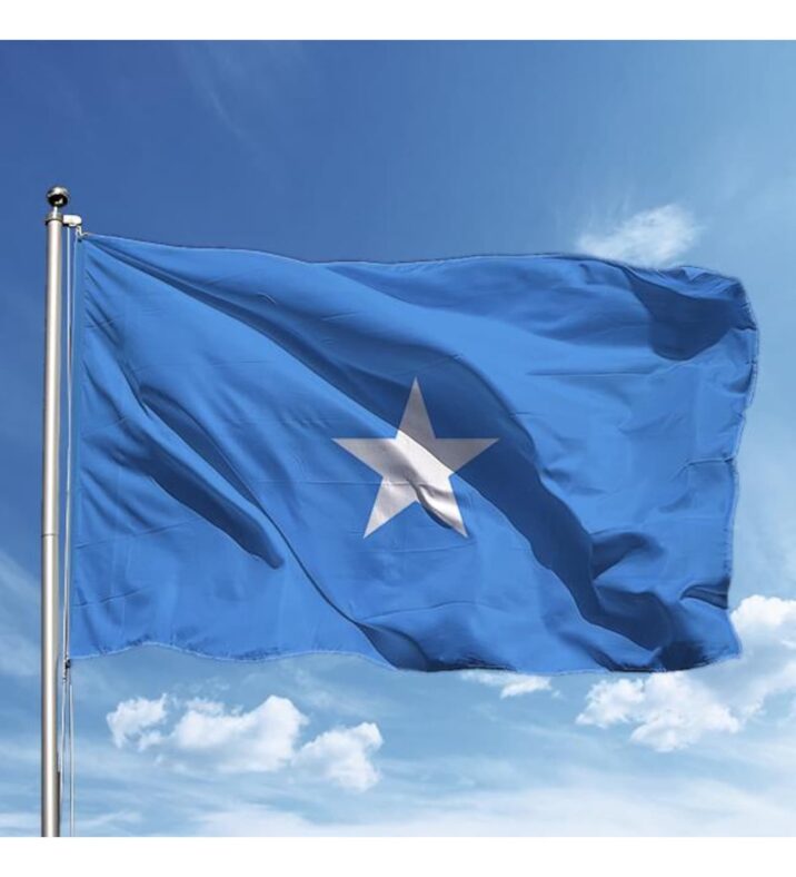 Azərbaycanla Somali arasında əməkdaşlığa dair fikir mübadiləsi aparılıb