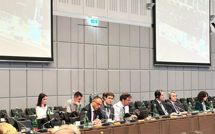 Qərbi Azərbaycan İcması ATƏT-in yüksək səviyyəli tədbirində təmsil olundu