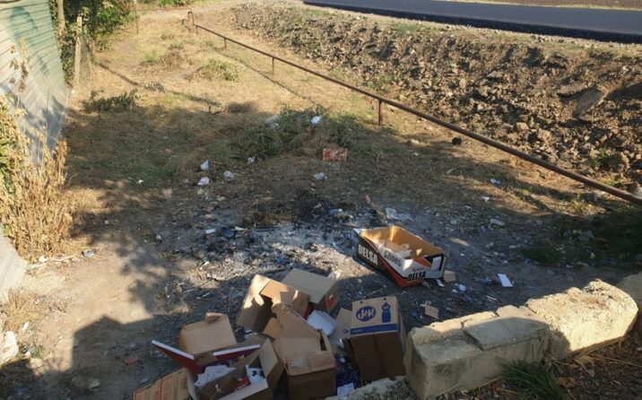 Masallıda ətraf mühiti məişət tullantıları ilə zibilləyən şəxslər barəsində tədbirlər görülüb