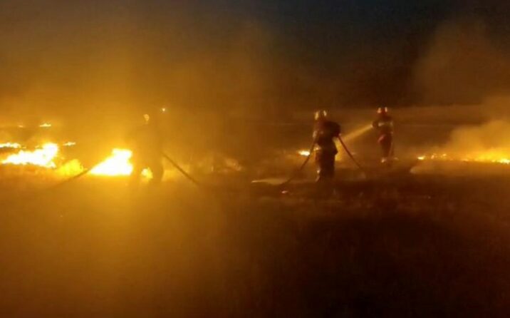 Sədərəyin Dəmirçi kəndində taxıl sahəsində yanğın olub
