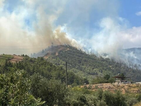Hatayda meşə yanğını: Helikopterlər cəlb edilib