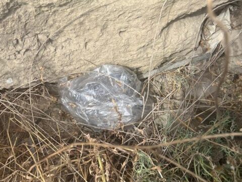 Böyük Şor gölü ərazisində gizlədilmiş narkotik aşkarlanıb