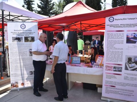 Şamaxıda növbəti toxum sərgi-satış yarmarkası keçirilib