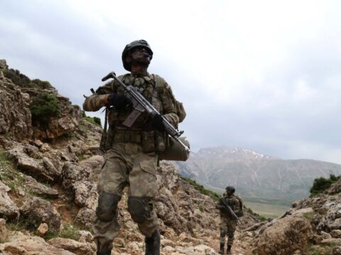 Türkiyə ordusu daha iki terrorçunu məhv edib