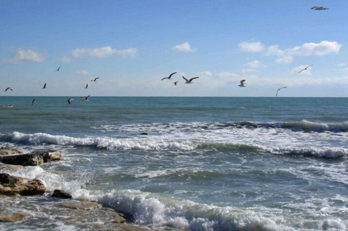 Şüvəlanda Xəzərin neftlə çirklənməsi aşkarlanıb