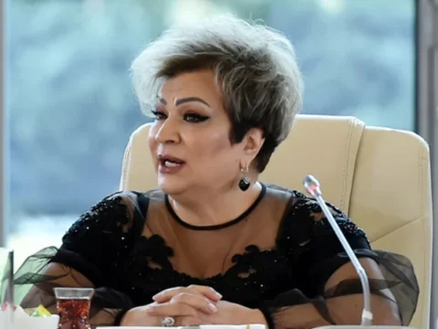 “Onu yaxşı tanıyırıq, ya vəzifə istəyir, ya da mandat”