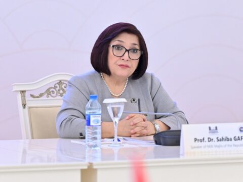 Sahibə Qafarova konfrans iştirakçılarını antiterror tədbirləri barədə məlumatlandırdı