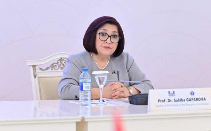 Sahibə Qafarova konfrans iştirakçılarını antiterror tədbirləri barədə məlumatlandırdı Sahibə Qafarova konfrans iştirakçılarını antiterror tədbirləri barədə məlumatlandırdı