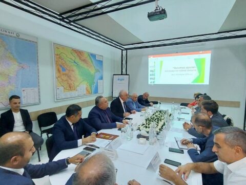 Bakı üzrə 200-dən artıq qurumuş və qəzalı ağacın götürülməsinə dair ictimai dinləmə keçirilib