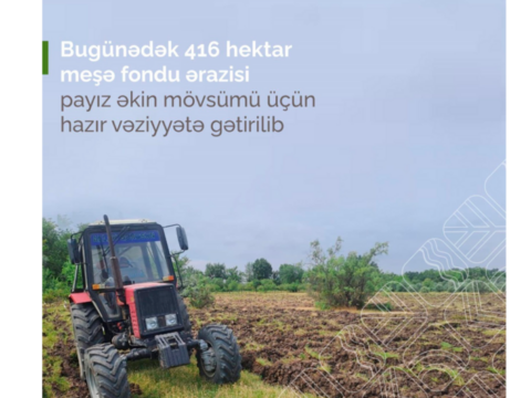 Bu günədək 416 hektar meşə fondu ərazisi payız əkini üçün hazırlanıb