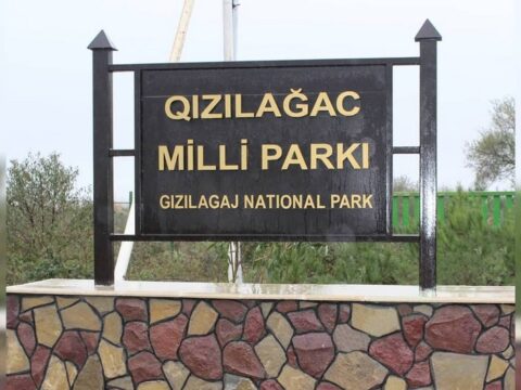 “Qızılağac Milli Parkında vəziyyət əvvəlki illərdən qat-qat yaxşıdır”