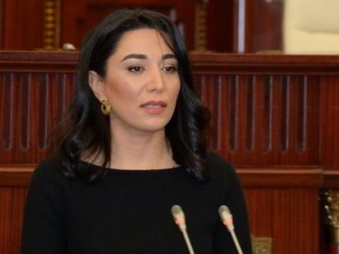 “Beynəlxalq təşkilatlar insan hüquqlarının pozulması hallarına biganə qalır”