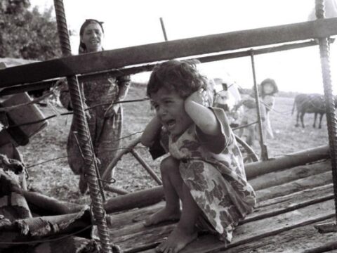 “Onların ifadələri insanı dəhşətə gətirir”