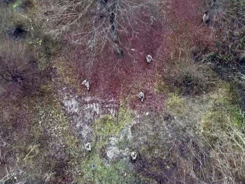 Müdafiə Nazirliyi həftəlik icmalını təqdim edib