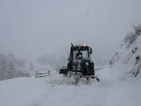 Gürcüstan Ermənistan və Türkiyə istiqamətində yolları ağır yük maşınları üçün bağlayıb
