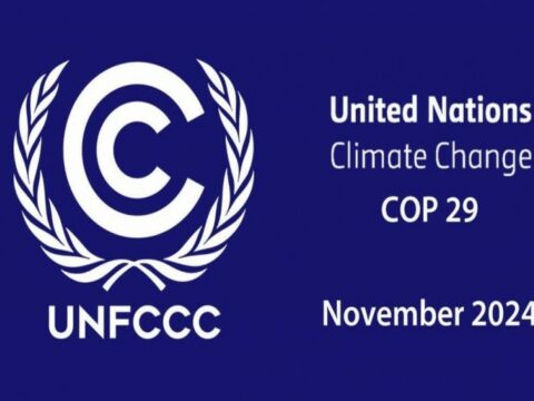“COP29-un Azərbaycanda keçirilməsi qlobal problemlərin həllində strateji təşəbbüsdür”