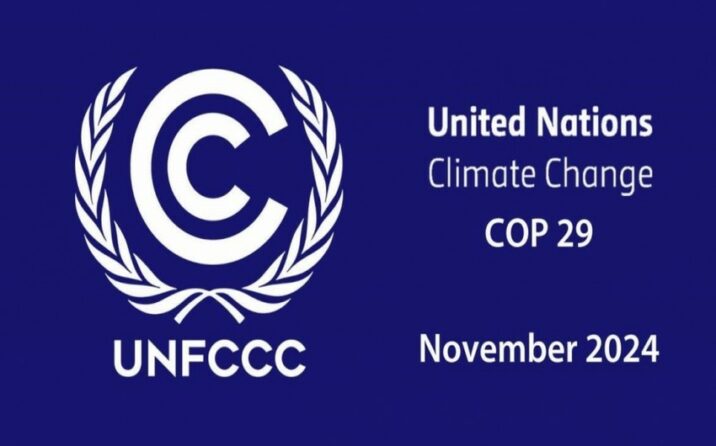 “COP29-un Azərbaycanda keçirilməsi qlobal problemlərin həllində strateji təşəbbüsdür”