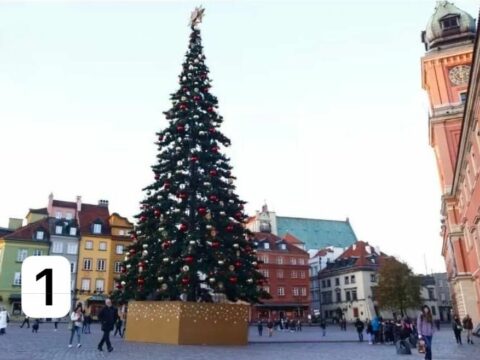 Yeni ilə hazırlaşan Avropa paytaxtlarının “yolka” ağacları