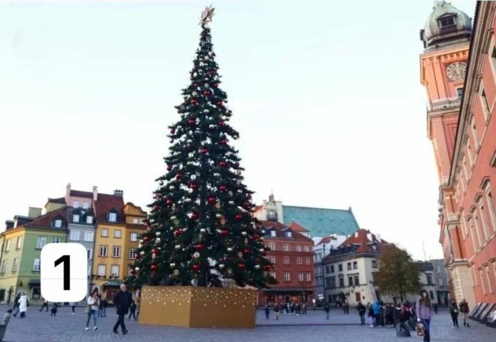 Yeni ilə hazırlaşan Avropa paytaxtlarının “yolka” ağacları