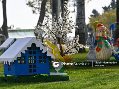 Yeni ilin ilk gününün hava proqnozu AÇIQLANDI