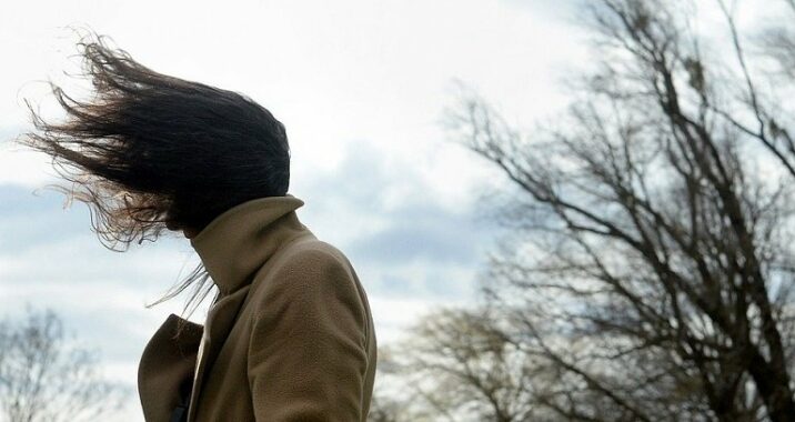 Nazirlik küləkli hava şəraiti ilə bağlı vətəndaşlara müraciət etdi