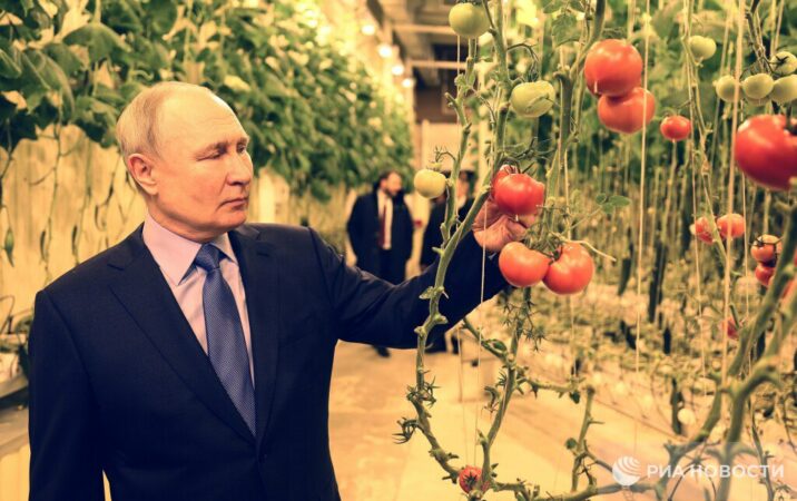-30° şaxtada Putin və pomidorlar