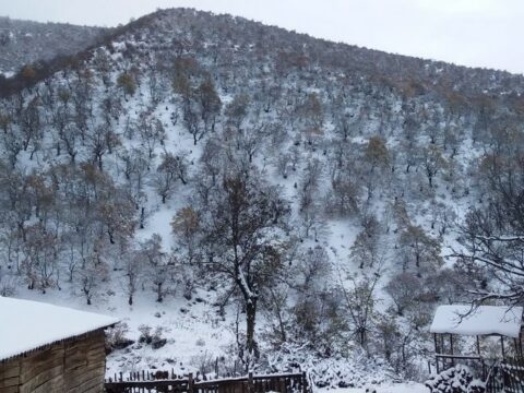 Ukraynaya kütləvi raket hücumu olub