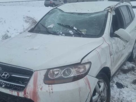 Elvin Basqallı və ailəsi ağır qəzaya düşdü