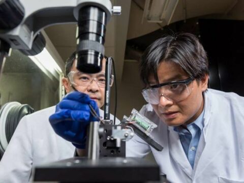 Alimlər ölüm nisbəti 100 faiz olan koronovirus növü yaradıblar