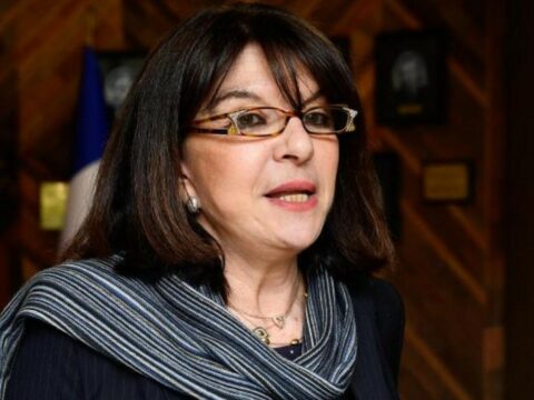 “Bu qətnamə Fransadakı erməni diasporuna xoş olmaq üçün qəbul edilib”