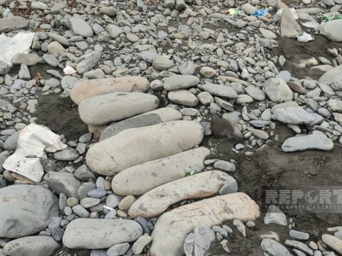 Balakəndə repressiya qurbanlarına aid olduğu güman edilən qəbirlər aşkarlanıb