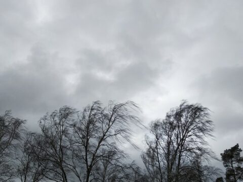 küləyin sürəti 23-25 m/s-dək güclənib