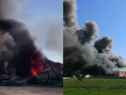 Mersində qablaşdırma fabrikində yanğın baş verib – VİDEO
