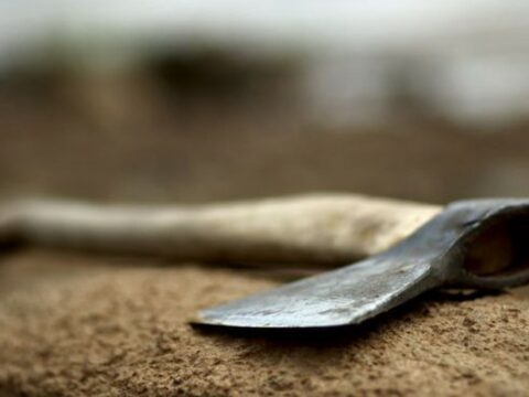 Gəncədə 72 yaşlı kişi baltalanıb, oğlu saxlanılıb