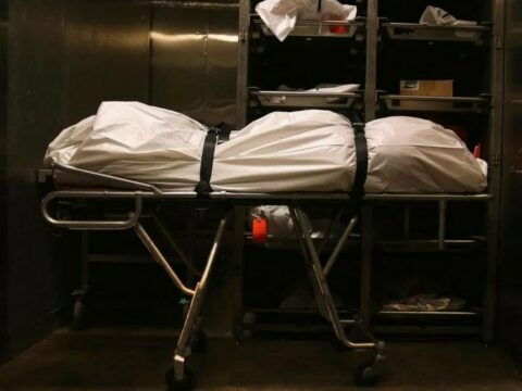 Şəmkirdə evdən çürümüş meyit tapılıb