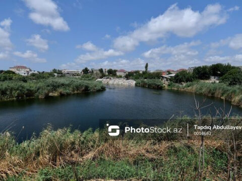 Biləsuvarda ovçuluq təsərrüfatında köçəri quşların sayı azalıb